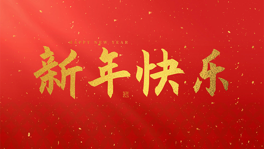 麗水市威儀自動化技術有限公司祝全國人民2025新年快樂！